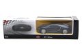 RASTAR 76100 R/C 1:24 Bugatti Veyron Chiron